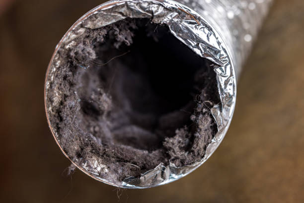 Best Emergency Air Duct Cleaning  in Celina, TX